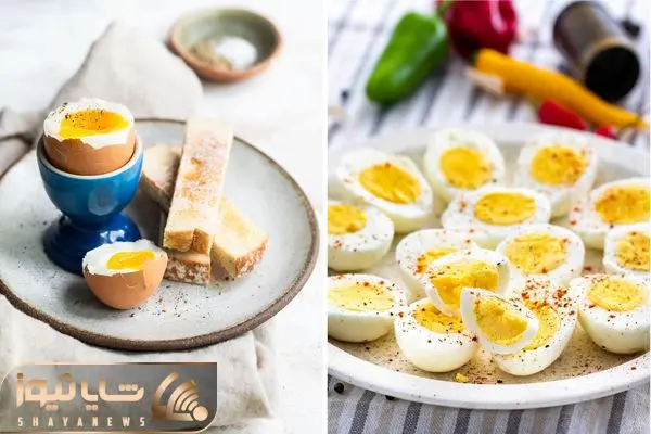 Health Benefits of Eating Eggs