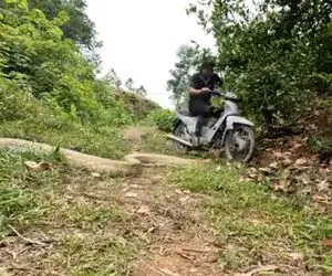 از جذابیت های حیات وحش؛ آقاهه و رفیق کله خر رو موتور با دیدن پیتون غول گرخیدن