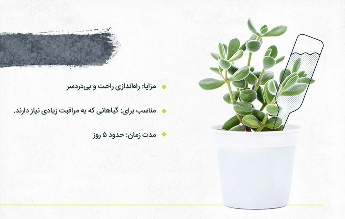 آبیاری گیاهان آپارتمانی