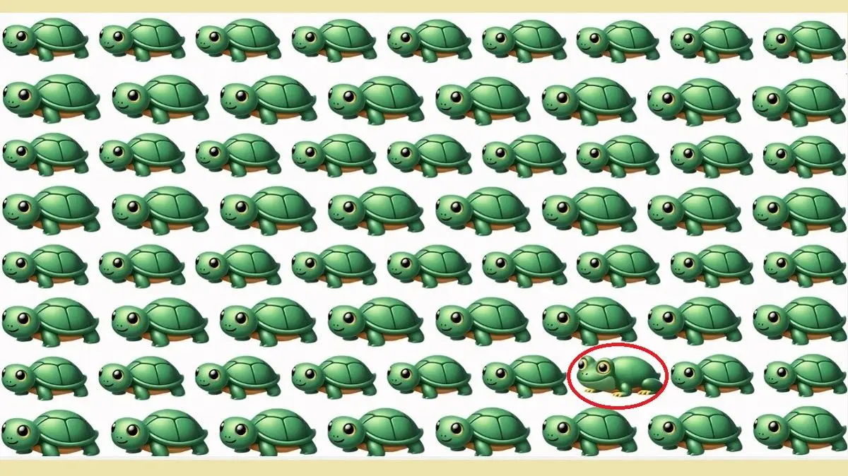 پاسخ-تست-بینایی-یافتن-قورباغه-میان-لاک-پشت-ها