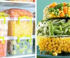 روش اصولی فریز کردن سبزیجات با حفظ رنگ و طعم / اشتباهات گذشته رو تکرار نکن