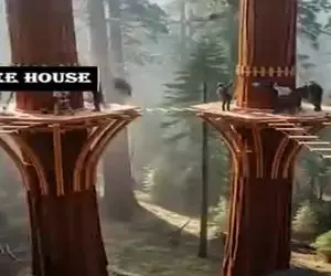 معماری خلاقانه؛ خونه های متصل بالای درخت ساختن میمونای جنگل کرک و پرشون ریخته