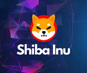 عجیب ترین و بهترین معرفی از شیبااینو!!