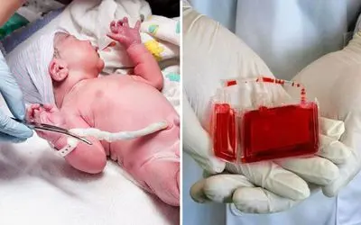 بند ناف از این به بعد دور ریخته نمی‌شود! راه درمان بیماری‌های لاعلاج کشف شد