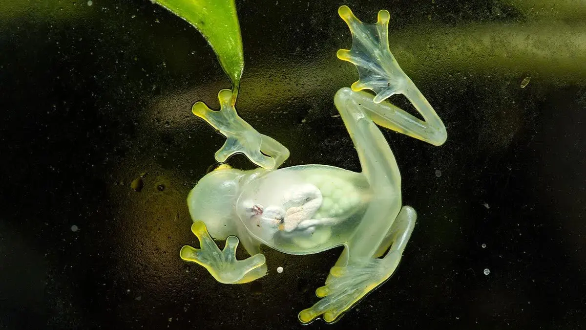 tiVhFjOBHxo5wC8co1Mi2HEf6W8hJahL