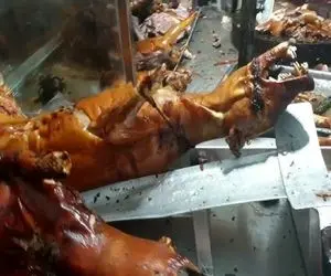 کباب سگ؛ میل داغ رو از دهن سگ نازنازی فرو کرد بریونی کرد و اسلایسی فروخت