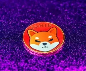 جادویی لذت بخش برای کاربران شیبااینو!