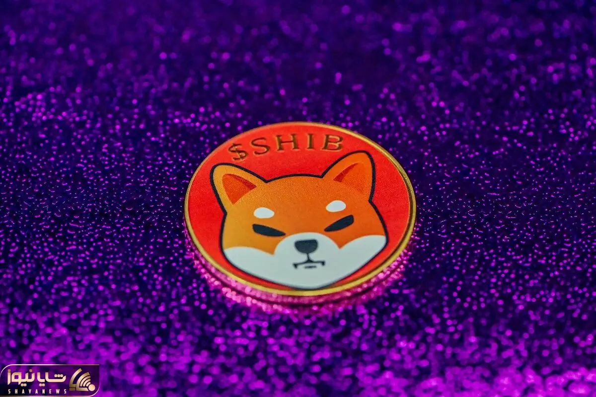 shibainu