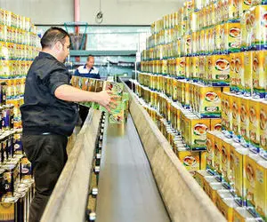 چرا روغن حلب کمیاب شد؟ بررسی دلیل کمیاب شدن روغن جامد