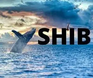 نهنگ های شیبااینوحماسه آفریدند!!