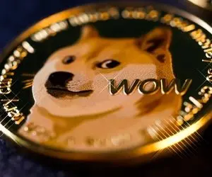 خبری ناباورانه از دوج کوین!!