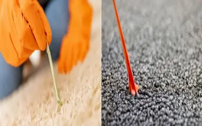 آدامس چسبیده به فرش؟ نترس، راه حلش اینجاست/ با این ترفندهای ساده از فرش جداش می‌ کنیم