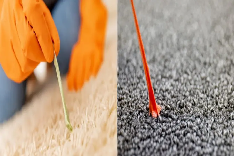 آدامس چسبیده به فرش؟ نترس، راه حلش اینجاست/ با این ترفندهای ساده از فرش جداش می‌ کنیم