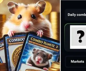 کارت های همستر کامبت امروز دوشنبه 5 شهریور + آموزش وارد کردن