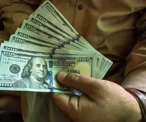 کاهش نوسانات دلار چه تاثیری در بازار دارد؟