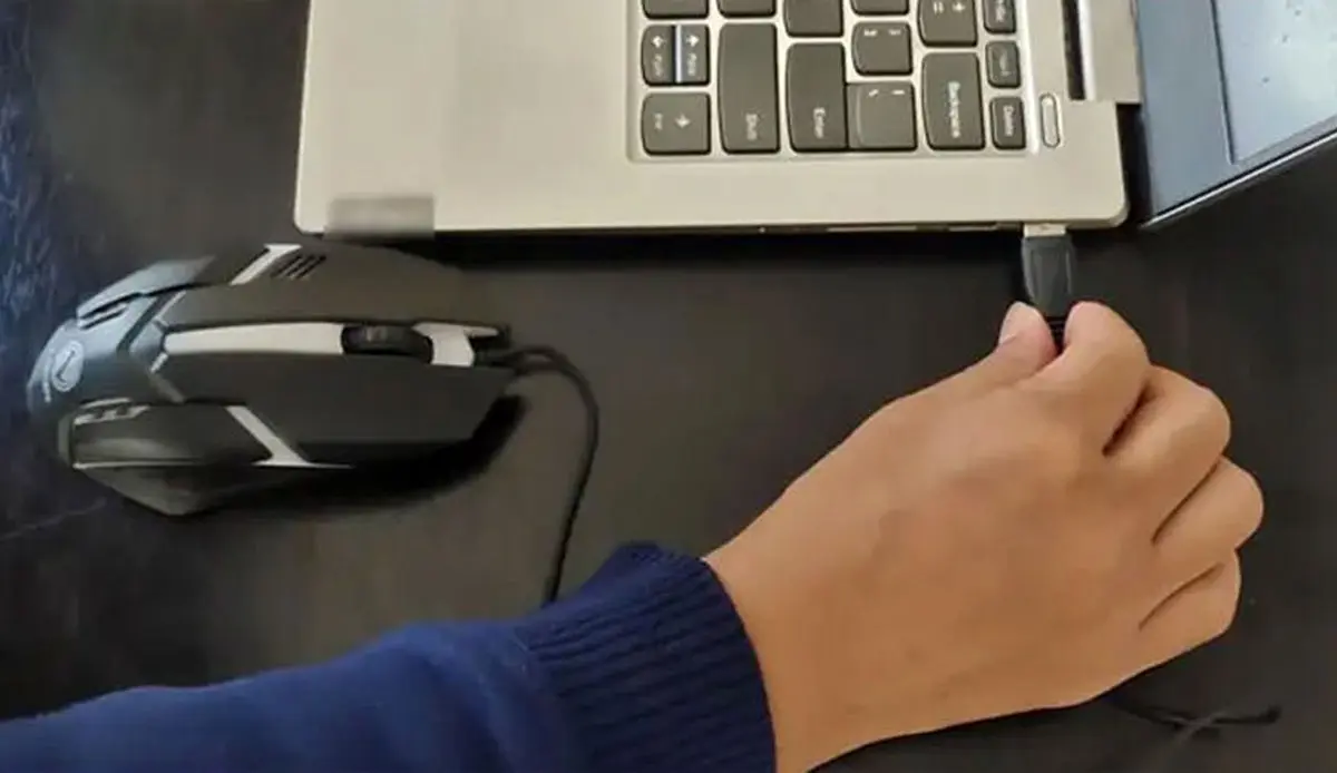 Mouse-cleaning-tutorialD