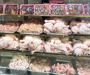 قیمت مرغ امروز شنبه 16 خرداد 1405