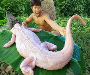 کباب تمساح؛ پوست زمخت تمساح و با چاقو جدا و میل داغ از دهنش رد کرد کبابی بشه