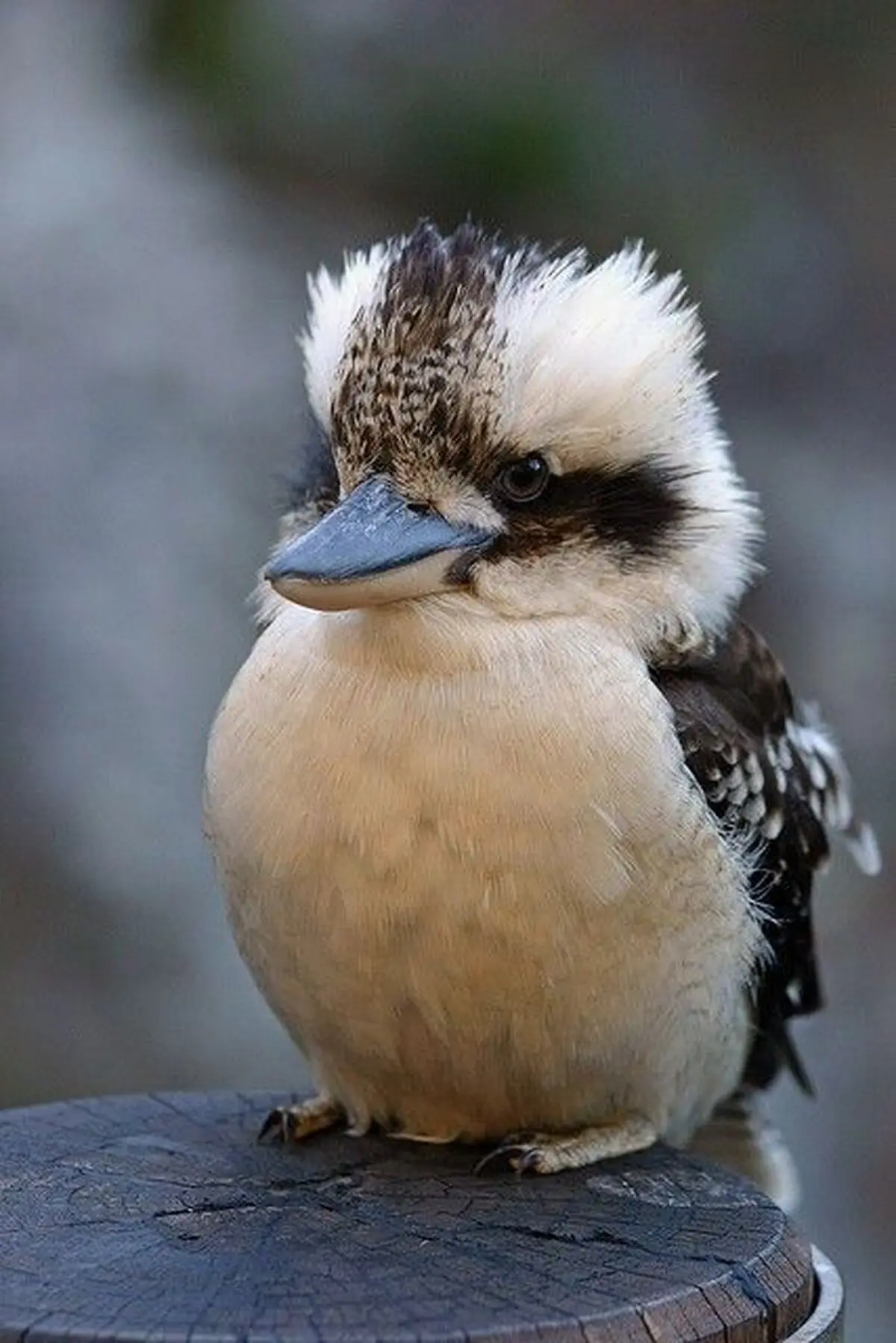 da7d7f78585360bfbcac3c0b1d006e41