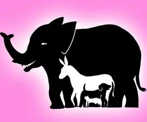 هوش تصویری؛ اگه نابغه ها باید شاگرد تو بشن بگو چندتا حیوان تو عکس میتونی پیدا کنی!