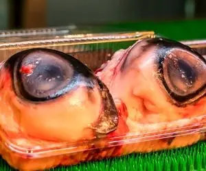 غذای لزج؛ چشم به این بزرگی برای کدوم حیوونه؟ وقتی ببینی میگرخی چه برسه به خوردنش!