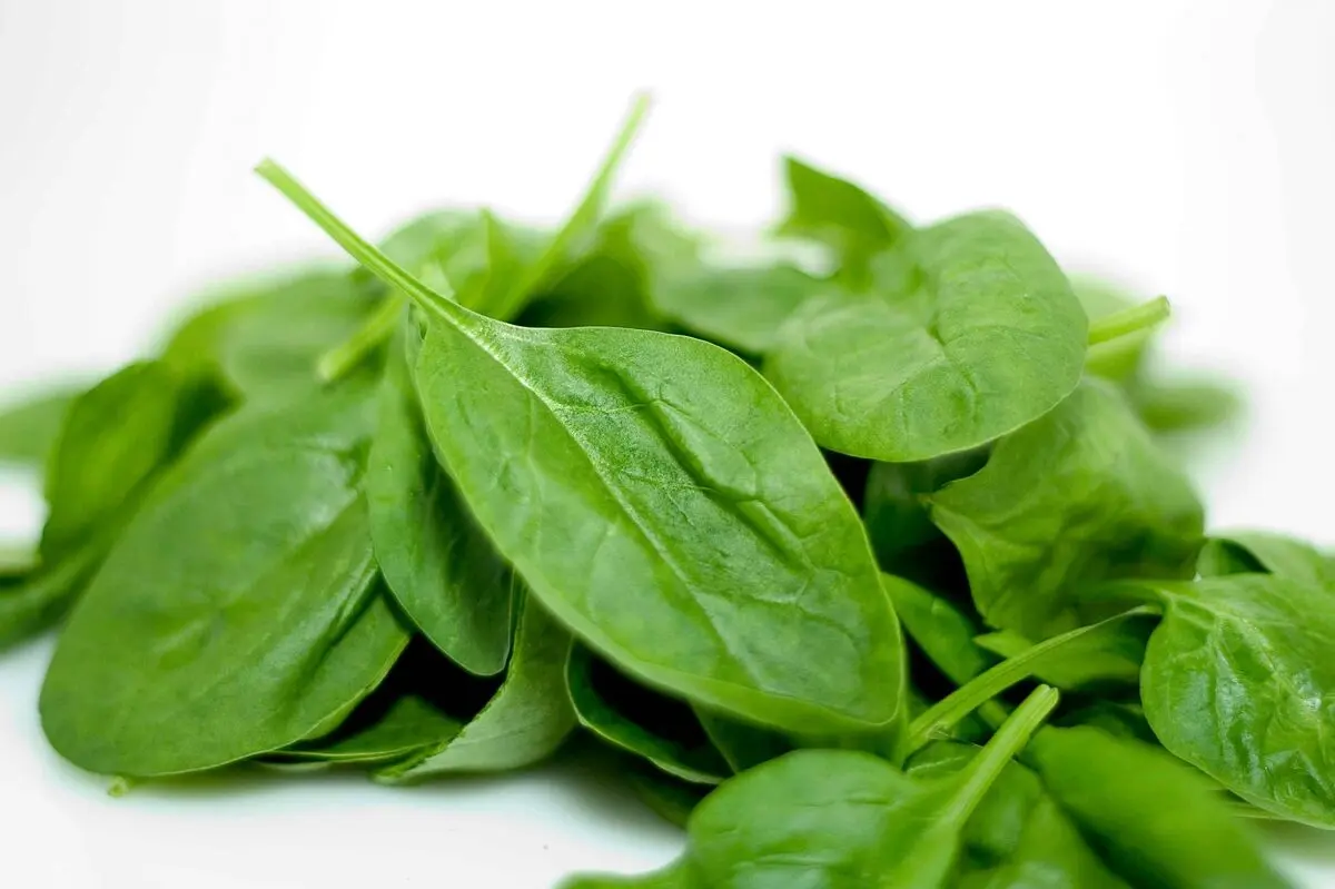 pastaesfenaj8