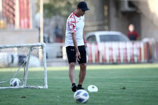 یحیی گل محمدی