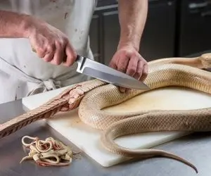 فرآوری مار؛ پوست مار سیاه رو کندن و رسیدن به گوشت صورتی و عین موز برش زدن سرخ کردن