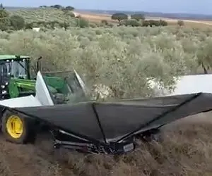 کشاورزی نوین؛ دستگاه میاد زیر درخت چتر باز میکنه تکونش میده میوه ها رو بار میزنه میره