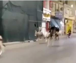 بازداشت “الاغ سواران فارس” که خواستند کرونا را دور بزنند