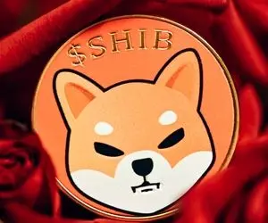 رمزارزی که رو دست شیبااینو می‌زنه!