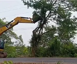 ابزارآلات غول پیکر؛ نصب چنکگ غول رو بیل مکانیکی برای رفع مزاحمت پرندگان ساکن