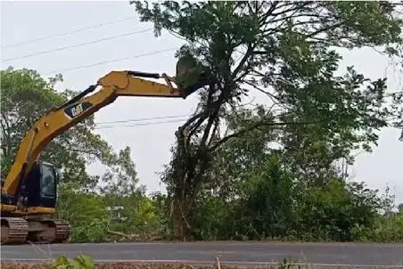 ابزارآلات غول پیکر؛ نصب چنکگ غول رو بیل مکانیکی برای رفع مزاحمت پرندگان ساکن