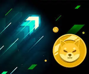 زمان مرگ شیبااینو؟!!