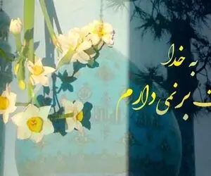 کلیپ و پیام تبریک نیمه شعبان برای استوری اینستاگرام