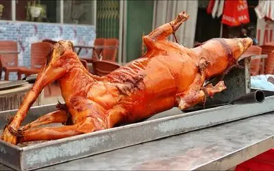 کباب سگ / بعد پوست کندن سگ سفید نازنازی رو انداخت تو قابلمه بپزه برای درآمد