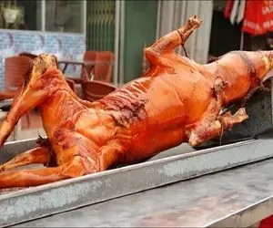 کباب سگ / بعد پوست کندن سگ سفید نازنازی رو انداخت تو قابلمه بپزه برای درآمد