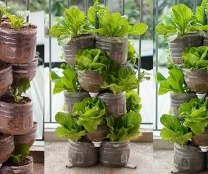 ایده های خلاقانه؛ باغچه کف حیاط نداری بیا با بطری های آب معدنی باغچه ایستاده بساز