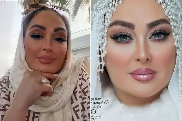 elham hamidi shayanews