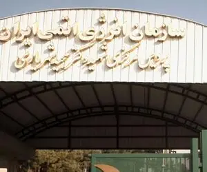 سازمان انرژی اتمی ایران اطلاعیه داد