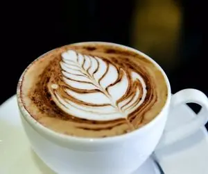 ویدیو آموزشی | کاپوچینو درست کردن با گوشت کوب برقی