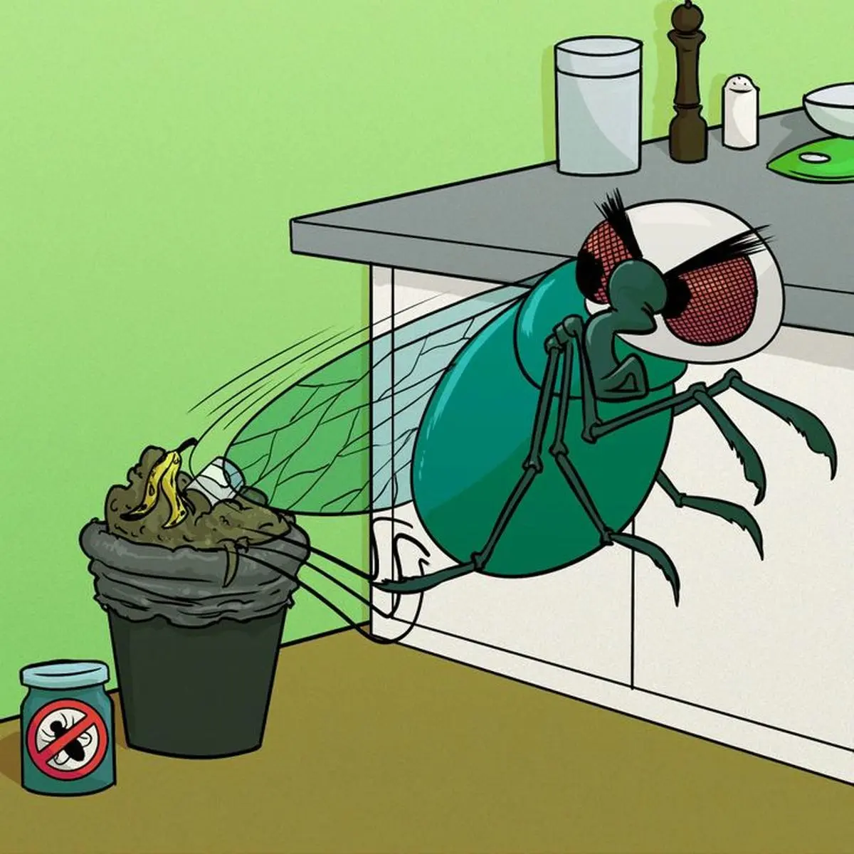 حقایقی از مگس ها