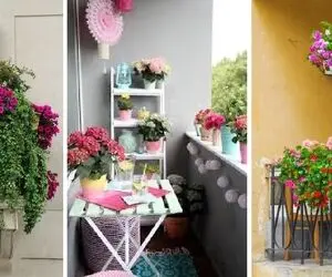 گیاهانی آپارتمانی که تو سرما هم دوام میارن؛ ایده هایی برای یه تراس سبز تو زمستون سرد