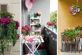 گیاهانی آپارتمانی که تو سرما هم دوام میارن؛ ایده هایی برای یه تراس سبز تو زمستون سرد