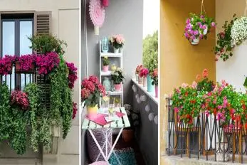 گیاهانی آپارتمانی که تو سرما هم دوام میارن؛ ایده هایی برای یه تراس سبز تو زمستون سرد