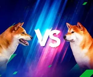 سرمایه داران شیبا و دوج باید چیکارکنند؟