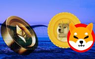 چرا شیبااینو محبوب تر از اتریوم، Dogecoin در ایالات متحده است؟