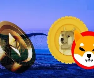 چرا شیبااینو محبوب تر از اتریوم، Dogecoin در ایالات متحده است؟
