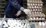 تخم‌مرغ جایگزین گوشت شد؟