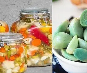 علت تغییر رنگ سیر های داخل ترشی چیه و روش های پیشگیری از آن؛ میشه این سیر ها رو خورد؟